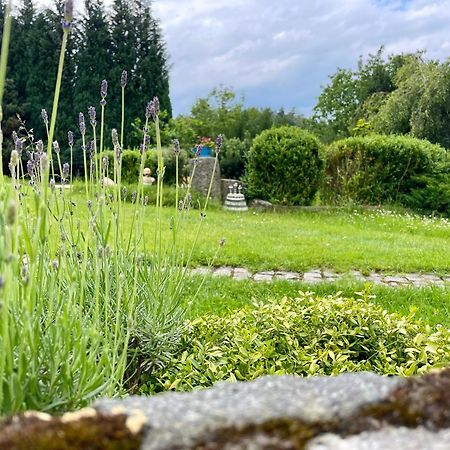Apartman U Mluvicich Kamenu Stare Krecany Екстер'єр фото